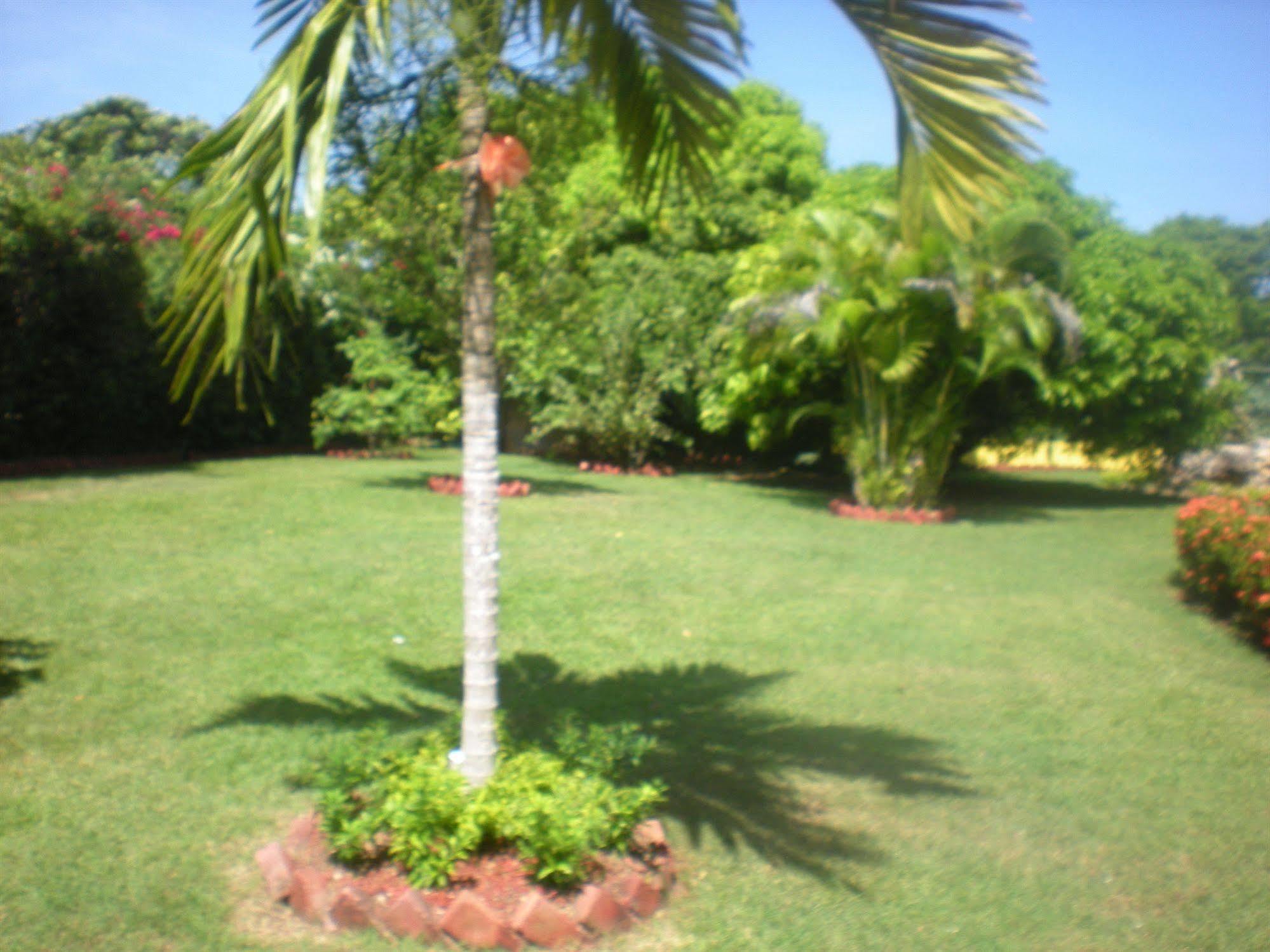 Villa Sonate Runaway Bay Εξωτερικό φωτογραφία